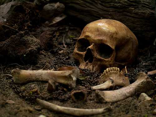 What a Newly Discovered Gravesite Can Tell Us About Black Life Post-Slavery