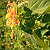 Post: #nature